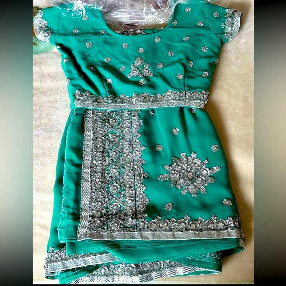 Saree with silver embroidery